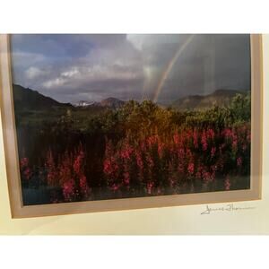 Matted & Signed Photo by Wildlife Photographer JAMES THOMSON-Fireweed, Alaska